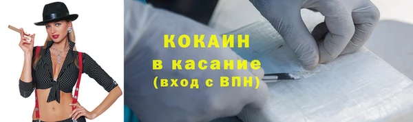 сатива Абаза