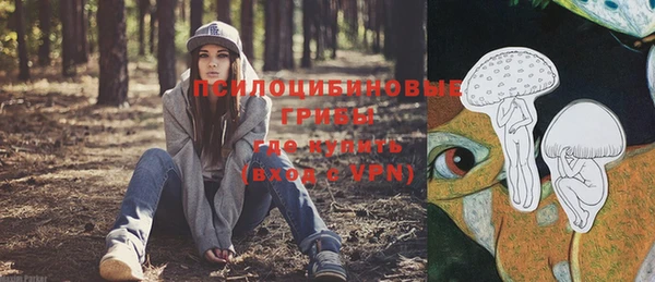 apvp Алзамай