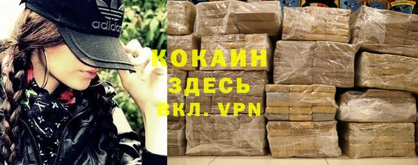 apvp Алзамай