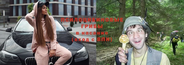 сатива Абаза