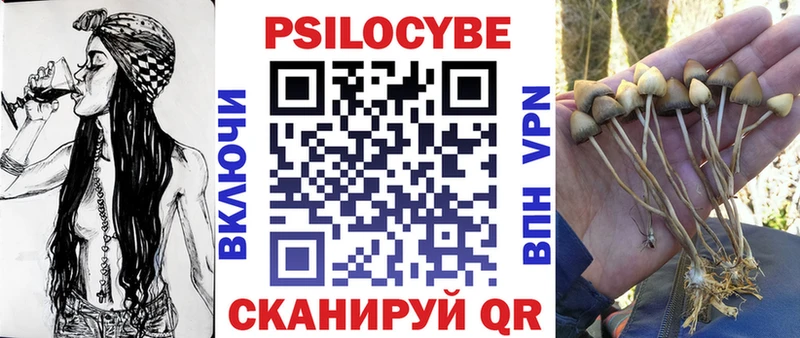 Галлюциногенные грибы Magic Shrooms  omg сайт  Староминская 